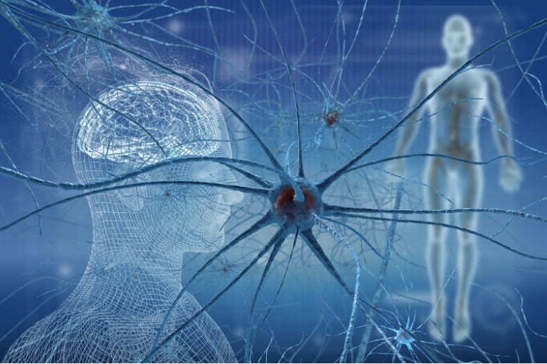 Что такое зеркальные нейроны и почему они так важны для эмпатии и отношений